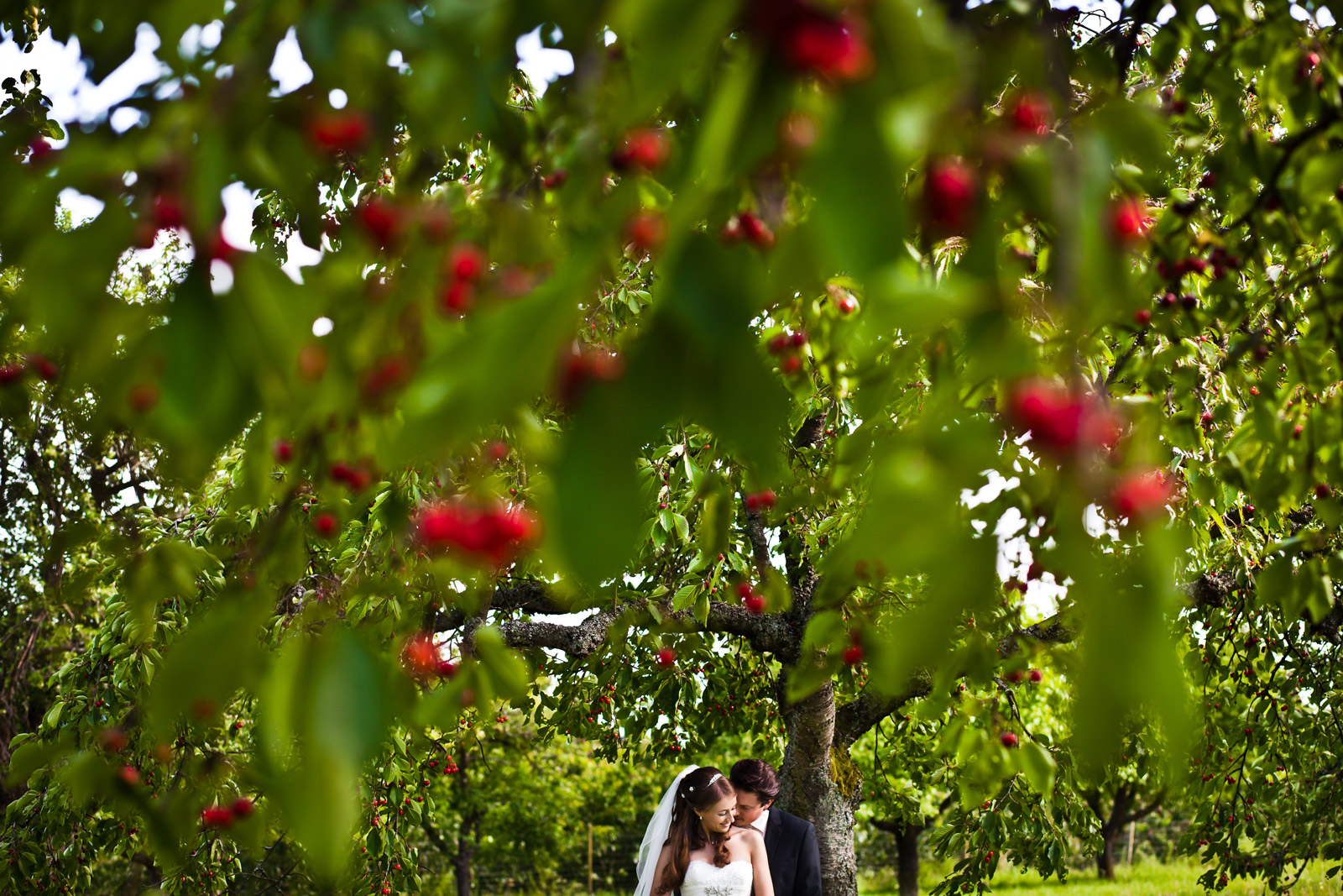 Hochzeitsfoto am Kirschbaum